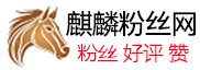 Discord Server Boost（服务器升级加权） - Discord推广 - discord加粉 超级ins涨粉丝网
